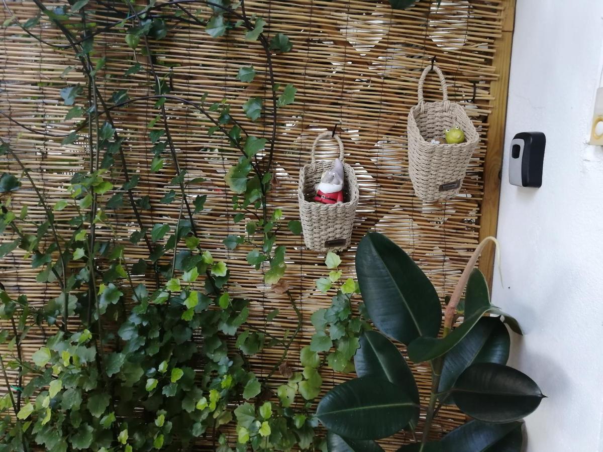 Olga'S Cozy Nest , Apartment In Ano Korakiana. Экстерьер фото