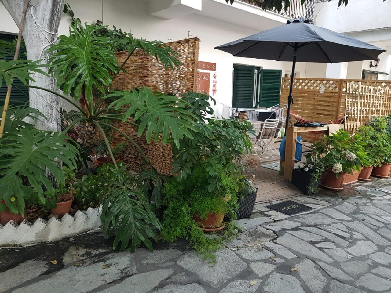 Olga'S Cozy Nest , Apartment In Ano Korakiana. Экстерьер фото