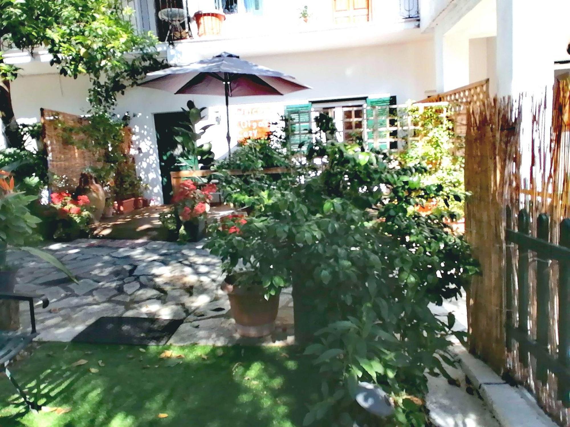 Olga'S Cozy Nest , Apartment In Ano Korakiana. Экстерьер фото